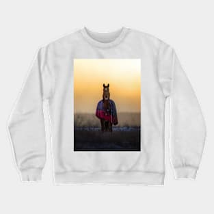 Horse in an Autumn Meadow Crewneck Sweatshirt